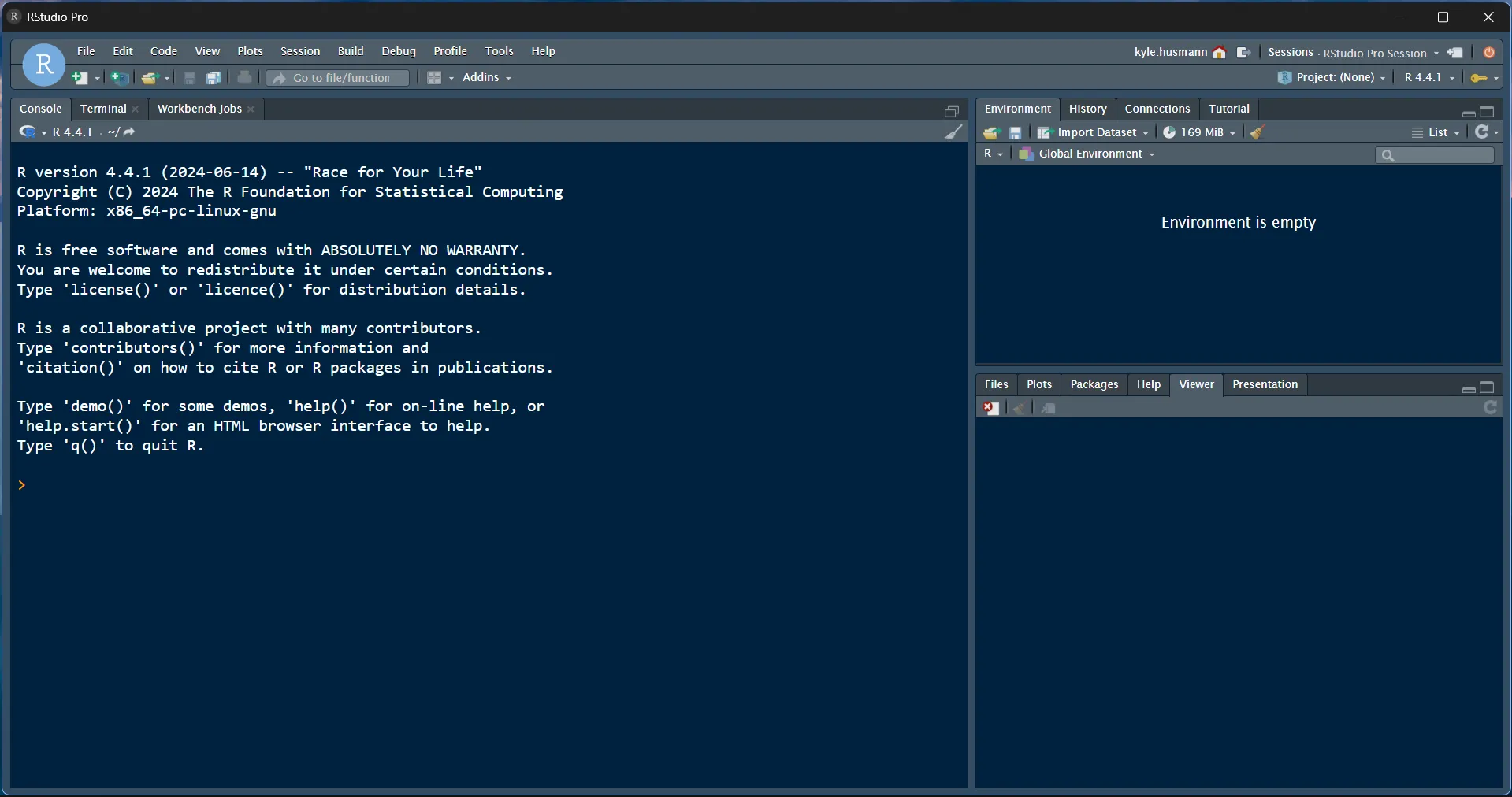 Running Posit Workbench in Chrome "App mode"